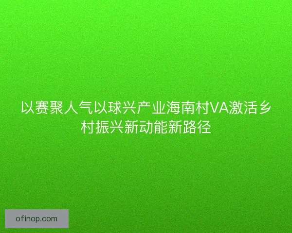 以赛聚人气以球兴产业海南村VA激活乡村振兴新动能新路径
