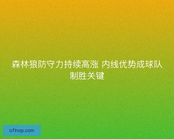 森林狼防守力持续高涨 内线优势成球队制胜关键